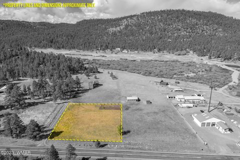 Tiny photo for 21 N1014, Greer, AZ 85927 (MLS # 257594)