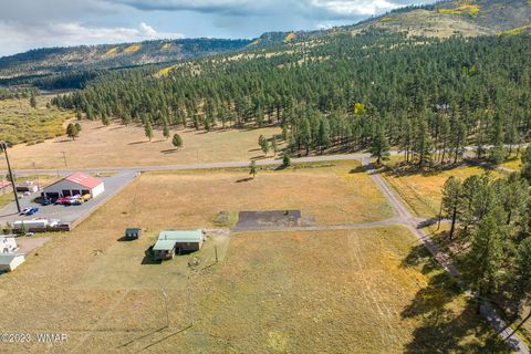 Tiny photo for 21 N1014, Greer, AZ 85927 (MLS # 257594)