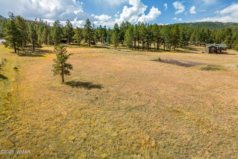 Tiny photo for 21 N1014, Greer, AZ 85927 (MLS # 257594)