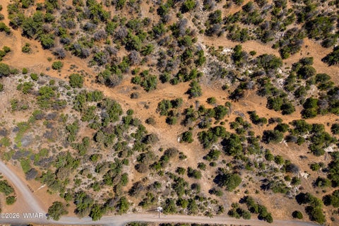 Tiny photo for 3243 Outlaw Trail, Overgaard, AZ 85933 (MLS # 262839)