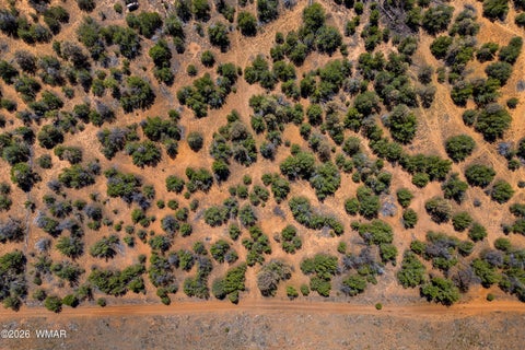 Tiny photo for 3243 Outlaw Trail, Overgaard, AZ 85933 (MLS # 262839)