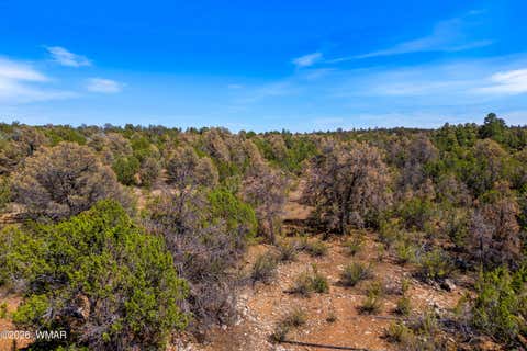 Photo of 3243 Outlaw Trail, Overgaard, AZ 85933 (MLS # 262839)