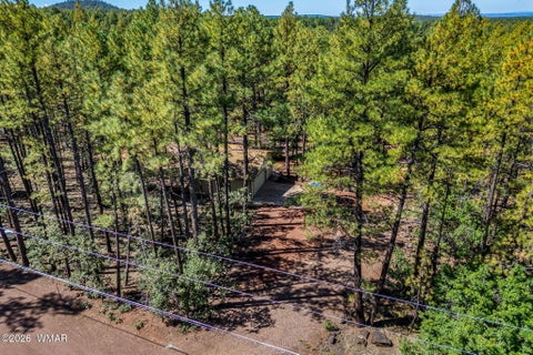 Tiny photo for 1438 Hill Drive, Pinetop, AZ 85935 (MLS # 263124)