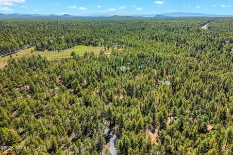 Tiny photo for 1438 Hill Drive, Pinetop, AZ 85935 (MLS # 263124)