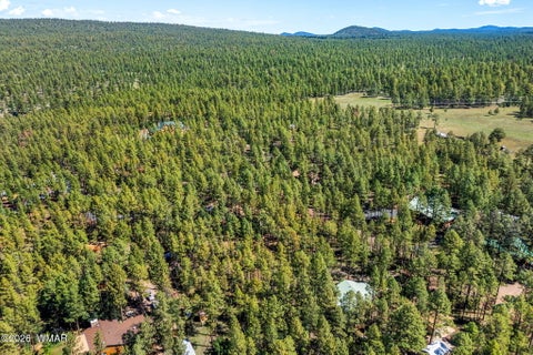 Tiny photo for 1438 Hill Drive, Pinetop, AZ 85935 (MLS # 263124)
