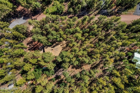 Tiny photo for 1438 Hill Drive, Pinetop, AZ 85935 (MLS # 263124)