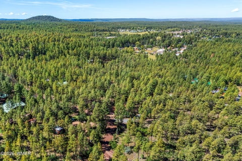Tiny photo for 1438 Hill Drive, Pinetop, AZ 85935 (MLS # 263124)