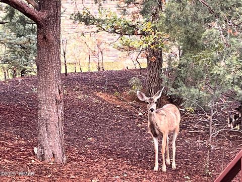 Tiny photo for 5410 N Saint Andrews Drive, Lakeside, AZ 85929 (MLS # 258775)