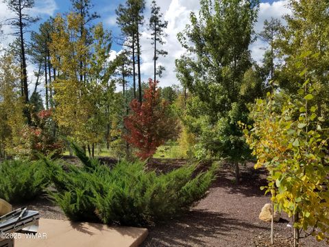 Tiny photo for 5410 N Saint Andrews Drive, Lakeside, AZ 85929 (MLS # 258775)