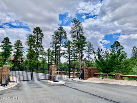 Tiny photo for 2821 W Villa Loop, Show Low, AZ 85901 (MLS # 262232)