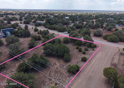 Tiny photo for 1819 Silver Lake Boulevard, Show Low, AZ 85901 (MLS # 258368)
