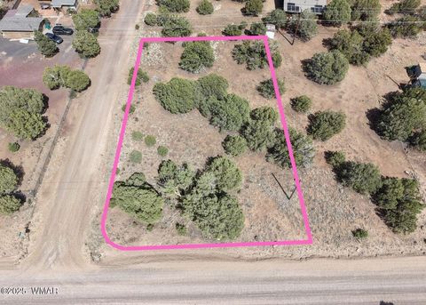 Tiny photo for 1819 Silver Lake Boulevard, Show Low, AZ 85901 (MLS # 258368)