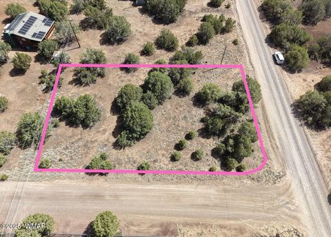 Tiny photo for 1819 Silver Lake Boulevard, Show Low, AZ 85901 (MLS # 258368)