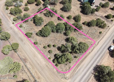 Tiny photo for 1819 Silver Lake Boulevard, Show Low, AZ 85901 (MLS # 258368)