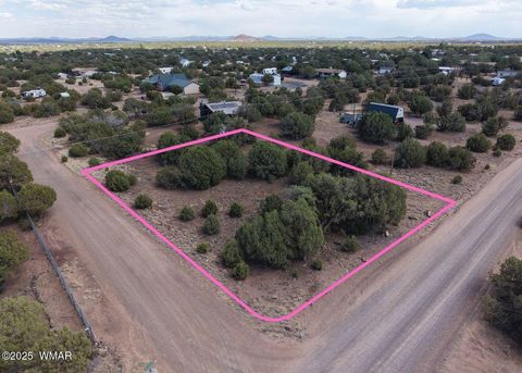Tiny photo for 1819 Silver Lake Boulevard, Show Low, AZ 85901 (MLS # 258368)