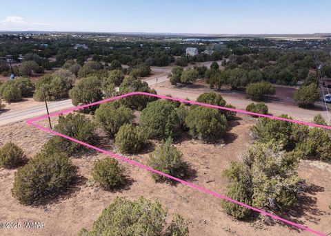 Photo of 1819 Silver Lake Boulevard, Show Low, AZ 85901 (MLS # 258368)