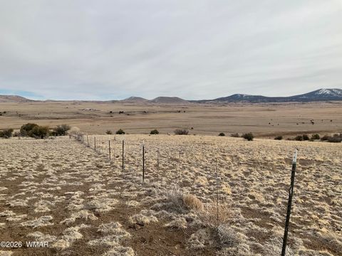 Tiny photo for TBD TBD, Vernon, AZ 85940 (MLS # 259244)