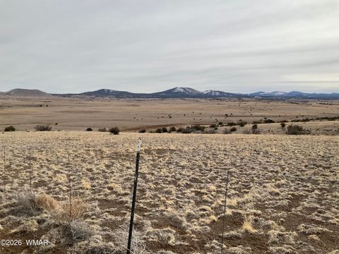 Tiny photo for TBD TBD, Vernon, AZ 85940 (MLS # 259244)