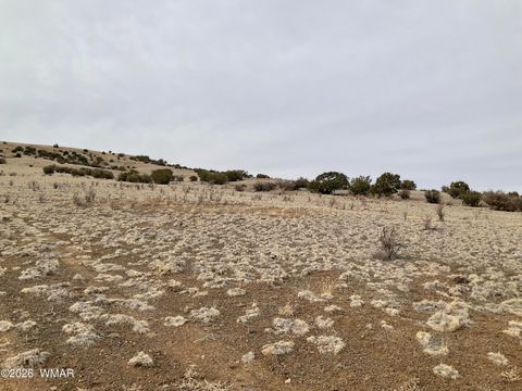Tiny photo for TBD TBD, Vernon, AZ 85940 (MLS # 259244)
