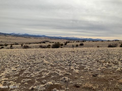 Tiny photo for TBD TBD, Vernon, AZ 85940 (MLS # 259244)