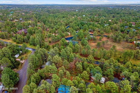 Tiny photo for 2974 Mogollon Drive, Overgaard, AZ 85933 (MLS # 263178)
