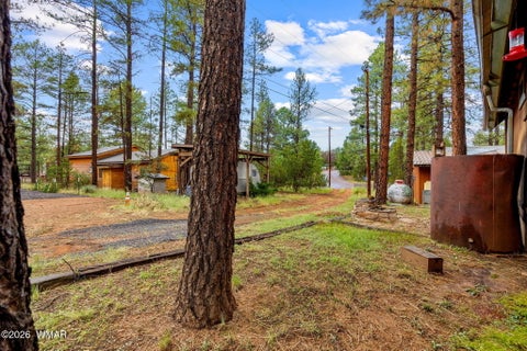Tiny photo for 2974 Mogollon Drive, Overgaard, AZ 85933 (MLS # 263178)
