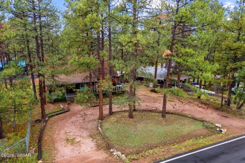 Tiny photo for 2974 Mogollon Drive, Overgaard, AZ 85933 (MLS # 263178)