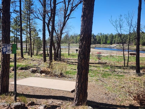 Tiny photo for 2700 S Woodland Hills Lane, Pinetop, AZ 85935 (MLS # 260762)