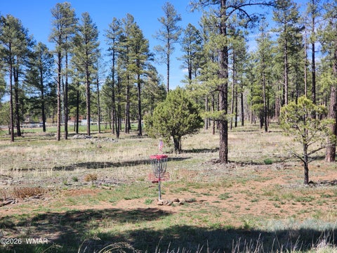 Tiny photo for 2700 S Woodland Hills Lane, Pinetop, AZ 85935 (MLS # 260762)