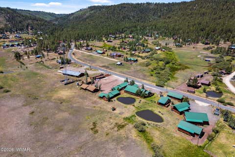 Tiny photo for 80 1120 UNIT 206 (CABIN 258), Greer, AZ 85927 (MLS # 262643)