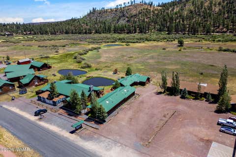 Tiny photo for 80 1120 UNIT 206 (CABIN 258), Greer, AZ 85927 (MLS # 262643)
