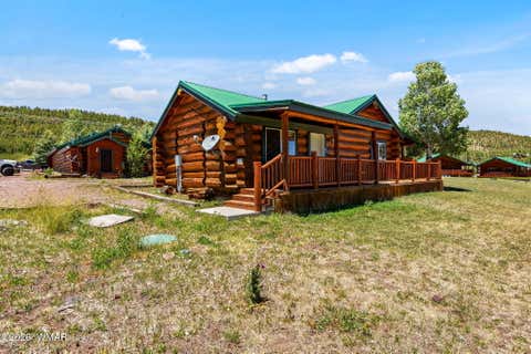 Photo of 80 1120 UNIT 206 (CABIN 258), Greer, AZ 85927 (MLS # 262643)