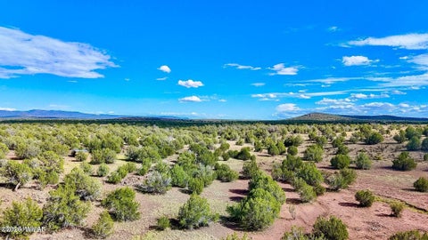 Tiny photo for TBD Rocky Hill Rd Lot B 20 Acres, Ash Fork, AZ 86320 (MLS # 263444)