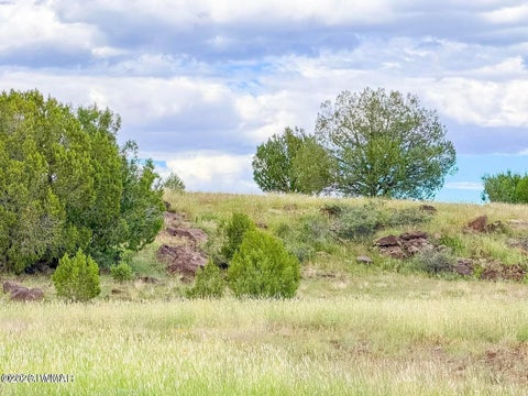 Tiny photo for TBD Rocky Hill Rd Lot B 20 Acres, Ash Fork, AZ 86320 (MLS # 263444)