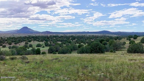Tiny photo for TBD Rocky Hill Rd Lot B 20 Acres, Ash Fork, AZ 86320 (MLS # 263444)