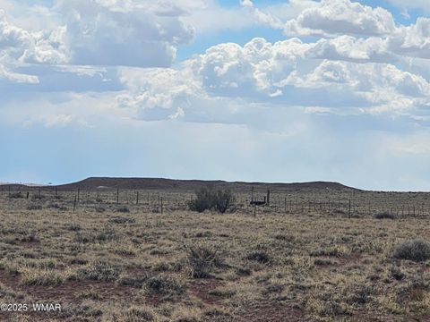 Tiny photo for Lot 76 Shooting Star Rd, Holbrook, AZ 86025 (MLS # 242871)