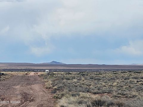 Tiny photo for Lot 76 Shooting Star Rd, Holbrook, AZ 86025 (MLS # 242871)