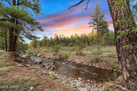 Tiny photo for 5533 Deer Run, Pinedale, AZ 85934 (MLS # 262929)