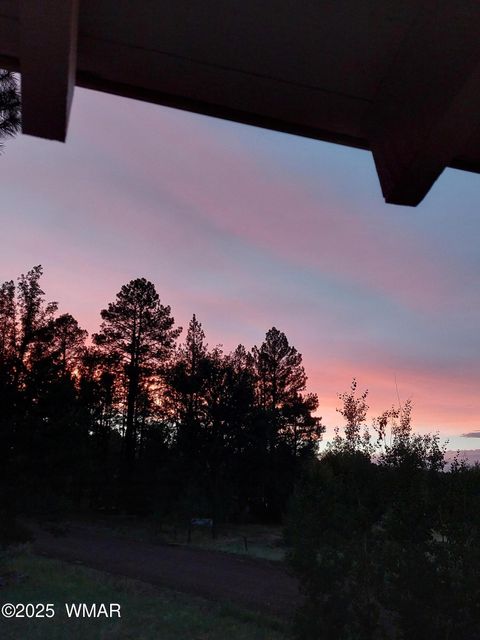 Tiny photo for 5533 Deer Run, Pinedale, AZ 85934 (MLS # 256980)