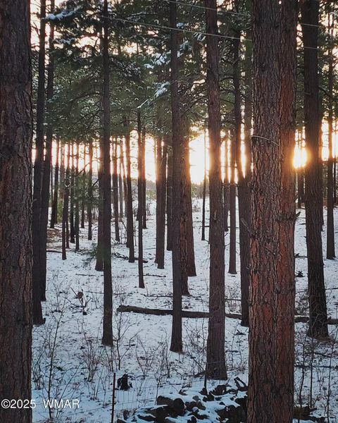 Tiny photo for 5533 Deer Run, Pinedale, AZ 85934 (MLS # 256980)