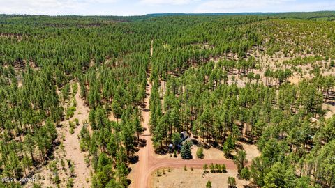 Tiny photo for 5533 Deer Run, Pinedale, AZ 85934 (MLS # 256980)