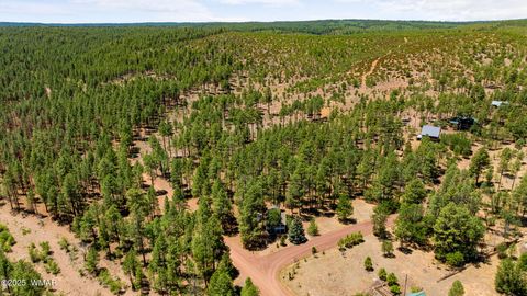 Tiny photo for 5533 Deer Run, Pinedale, AZ 85934 (MLS # 256980)