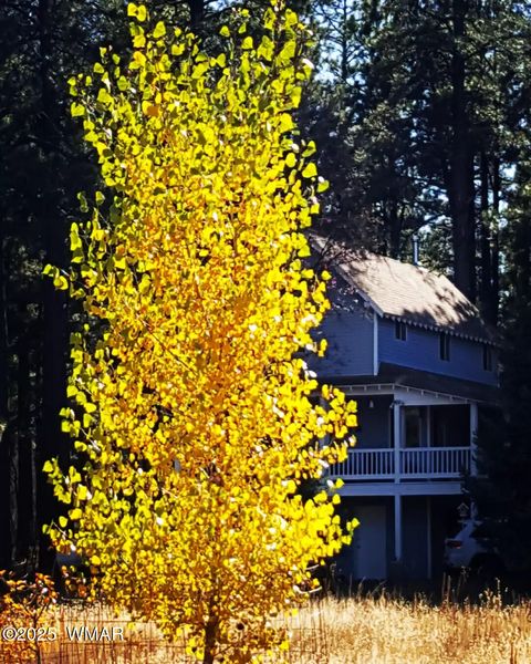 Tiny photo for 5533 Deer Run, Pinedale, AZ 85934 (MLS # 256980)