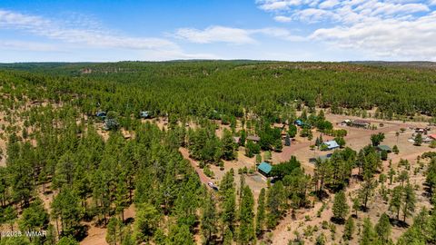 Tiny photo for 5533 Deer Run, Pinedale, AZ 85934 (MLS # 256980)