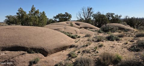 Tiny photo for 5085 Concho Ocho Road, Snowflake, AZ 85937 (MLS # 258835)