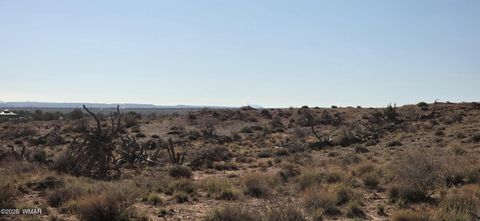 Tiny photo for 5085 Concho Ocho Road, Snowflake, AZ 85937 (MLS # 258835)
