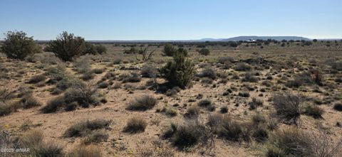 Photo of 5085 Concho Ocho Road, Snowflake, AZ 85937 (MLS # 258835)