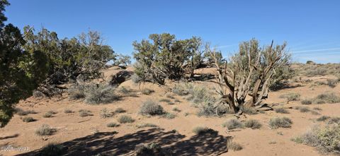 Tiny photo for 5085 Concho Ocho Road, Snowflake, AZ 85937 (MLS # 258835)