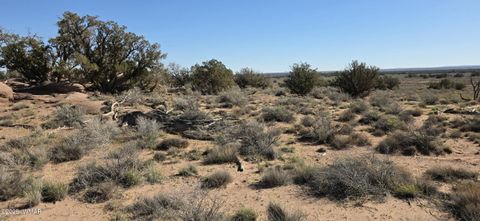 Tiny photo for 5085 Concho Ocho Road, Snowflake, AZ 85937 (MLS # 258835)