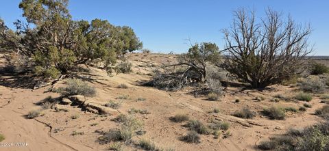 Tiny photo for 5085 Concho Ocho Road, Snowflake, AZ 85937 (MLS # 258835)